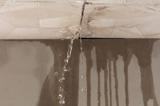 Professional Structural Drying technician working in Massillon, OH